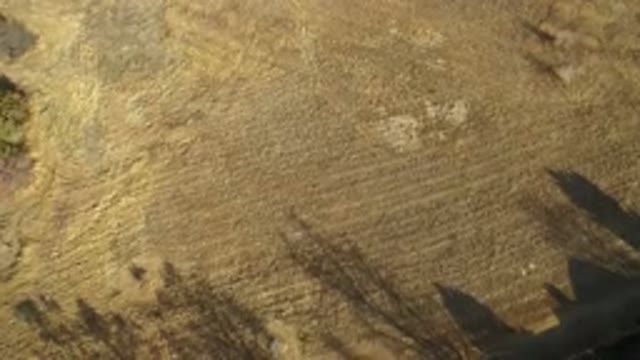 WESTMINSTER COLORADO-2016: Shadows Of Trees And Houses In Golden Light