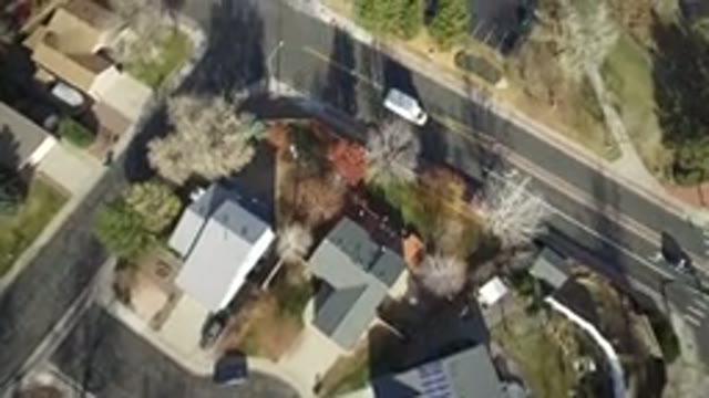 WESTMINSTER COLORADO-2016: Fly On The Wall Eating Cherry Flowers When