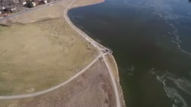 HIDDEN LAKE COLORADO-2016: Flock Of Birds Flying Over Lake Shore Overview Top