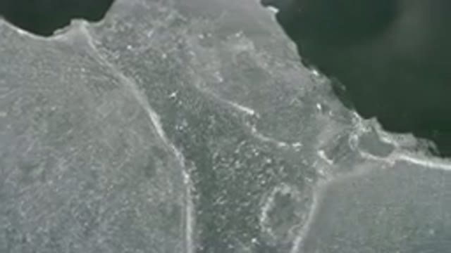 HIDDEN LAKE COLORADO-2016: Air Footage Of A Very Empty And Dry Shore Of What