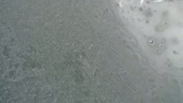 HIDDEN LAKE COLORADO-2016: Black And White Video That Could Be A Close-Up Of The