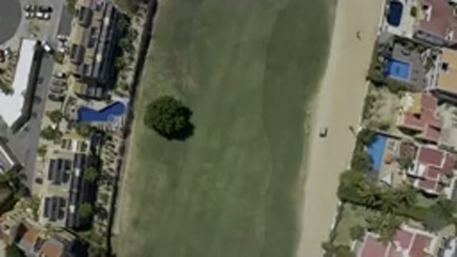 LOS CABOS MEXICO-2019: Vehicle Driving Through Sand And Green Land With A Tree