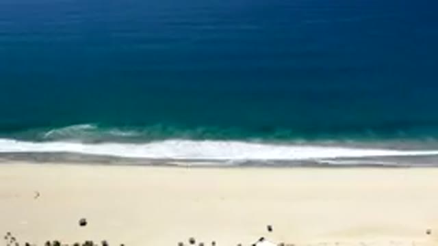 LOS CABOS MEXICO-2019: Waves Water Sand Trees Ocean Beach