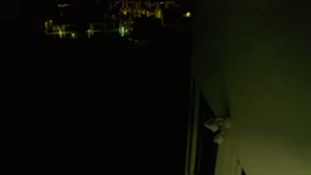 LOS CABOS MEXICO-2019: I Think I Forgot Something In The Backyard Of My House