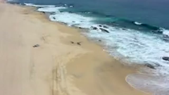 LOS CABOS MEXICO-2019: The Oceans Continue To Amaze Us With Its Beauty And