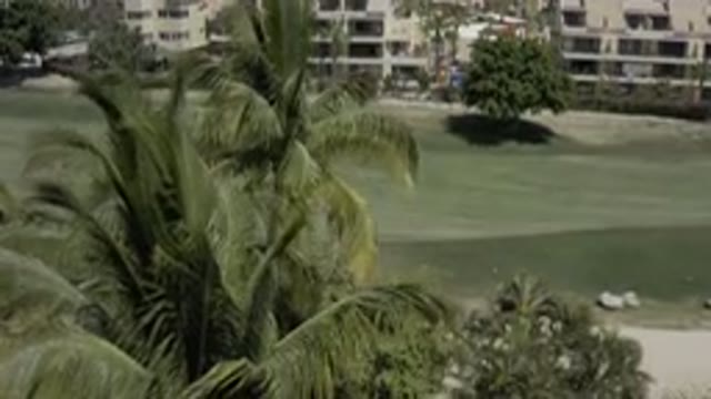 LOS CABOS MEXICO-2019: Sweeping Down Over Palm Trees Blowing In Wind By A Golf Course