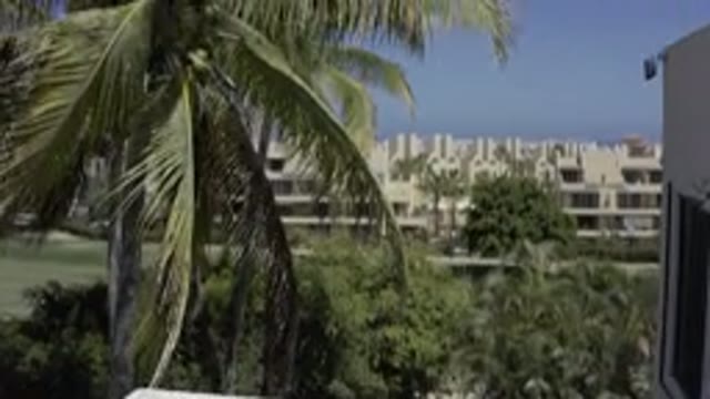 LOS CABOS MEXICO-2019: Beautiful View Of Trees And Building From Rooftop Of