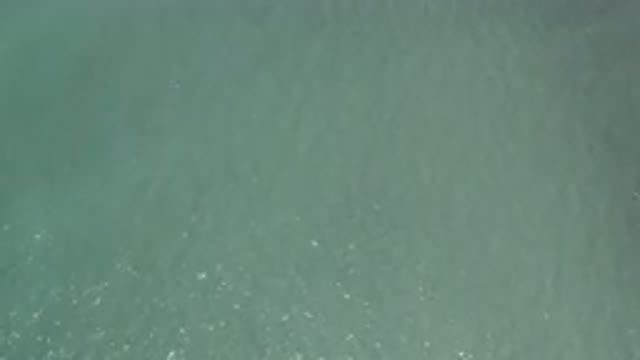 LOS CABOS MEXICO-2019: There Are Those Who Are Lost In The Immensity Of The Sea