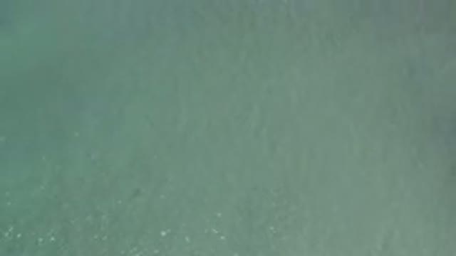 LOS CABOS MEXICO-2019: Video Of The Sea With Calm And Crystalline Waters In