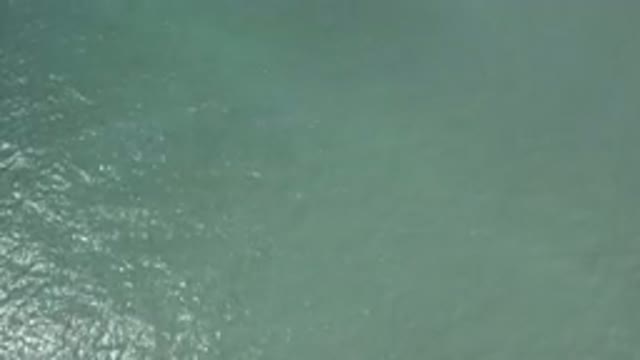 LOS CABOS MEXICO-2019: Murky Green Ocean Flowing With Debris And Waves Freely