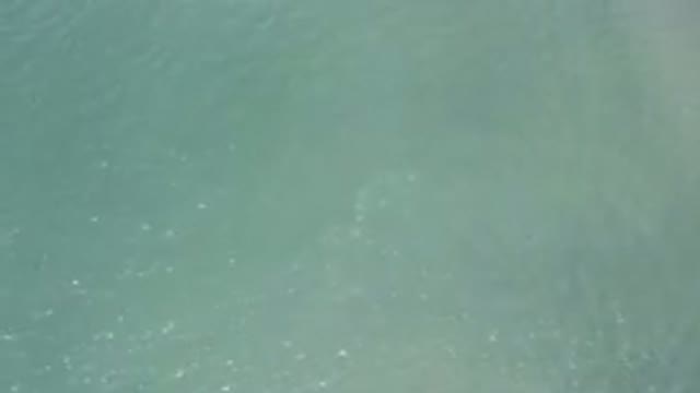 LOS CABOS MEXICO-2019: Nothing Compared To The Immensity Of The Sea And Its