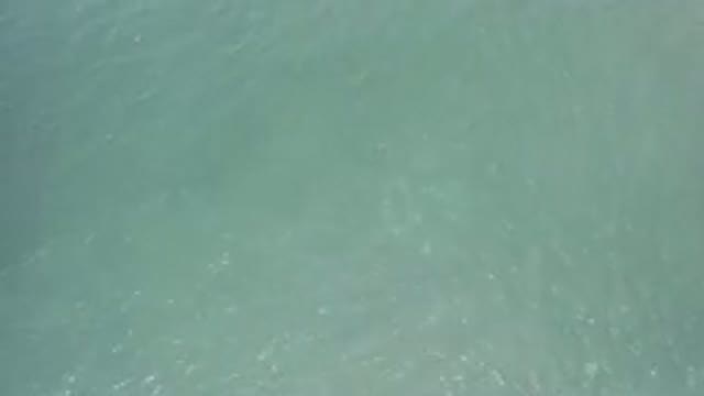 LOS CABOS MEXICO-2019: The Ripples In The Green Water Body Takes The Mind Into
