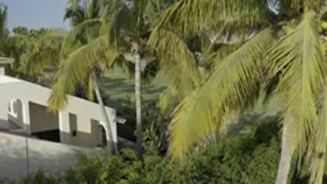 LOS CABOS MEXICO-2019: Aerial View Of A White House And Palm Trees