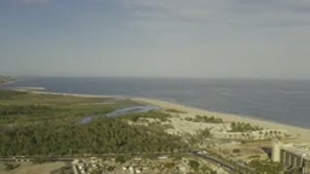 LOS CABOS MEXICO-2019: Bird's Eye View Of Small Forest And Cars Driving Down