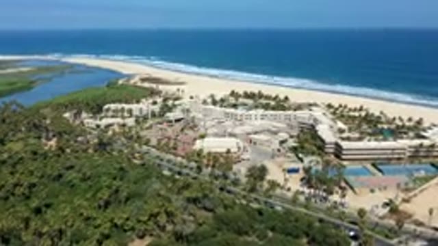 LOS CABOS MEXICO-2019: Beautiful Beach Outdoors Animals Cars Trees Sand