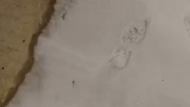 JEFFERSON COUNTY COLORADO-2015: Zooming On The Floor The Right Side Shows A