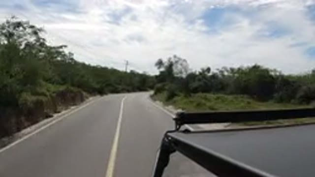 LOS CABOS MEXICO-2019: Camera On A Moving Car Showing A Road With Many Trees In