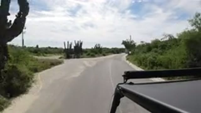 LOS CABOS MEXICO-2019: Car Driving Down A Remote Road