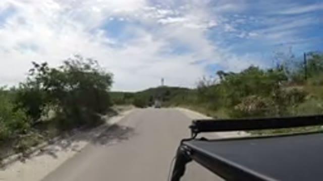 LOS CABOS MEXICO-2019: Driving Fast In A Car On A Small Road With Trees And Bushes