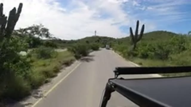 LOS CABOS MEXICO-2019: The Road Is Yours Only Yours Others Can Walk At Your Side