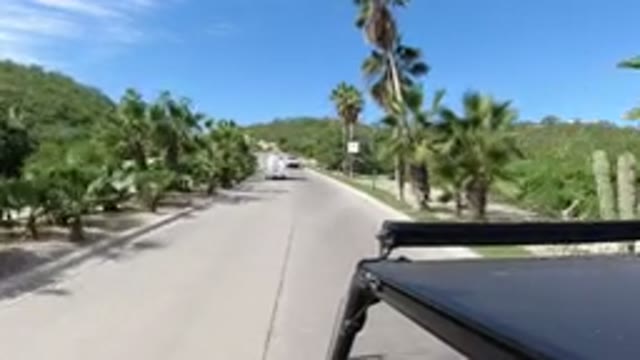 LOS CABOS MEXICO-2019: Amazing Scene of a Clean Road With Green Grass and Trees