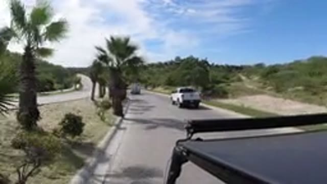 LOS CABOS MEXICO-2019: Car Driving Behind White Pickup Truck Past Palm Trees