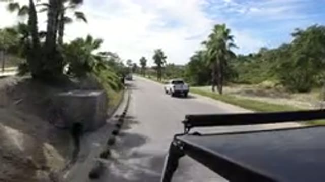 LOS CABOS MEXICO-2019: Two Cars Traveling At A Fast Pace On A Highway With Palm Trees