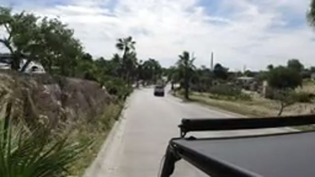 LOS CABOS MEXICO-2019: Driving Sunny Weather Car Road Street Green Grass Tree