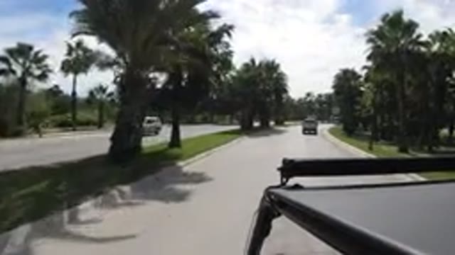 LOS CABOS MEXICO-2019: Car Driving Down Road Past Palm Trees With Other Traffic