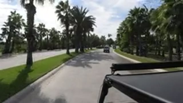 LOS CABOS MEXICO-2019: Vehicle Moves Down Winding Divided Road Palm Trees On