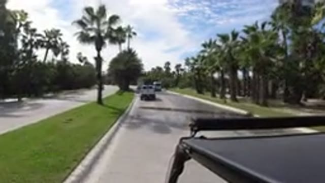 LOS CABOS MEXICO-2019: The Clean Road With Green Grass Trees Around And My Best Friend