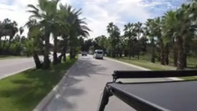 LOS CABOS MEXICO-2019: Vehicles Follows Another Vehicle With Tall Palm Trees
