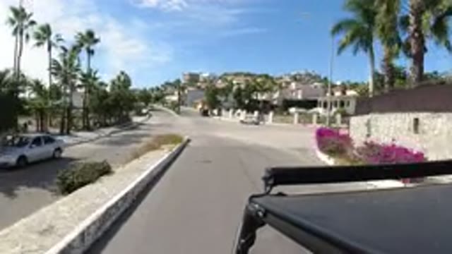 LOS CABOS MEXICO-2019: Driving During The Sunny Weather With Trees Around