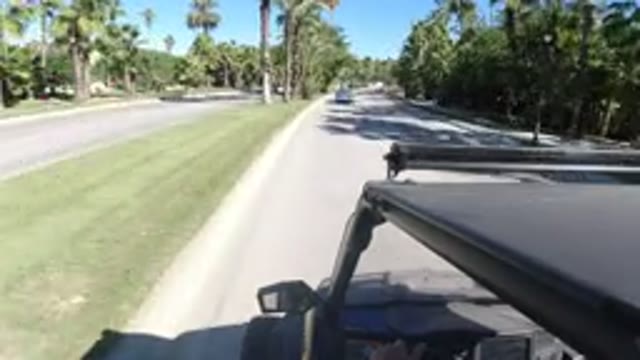LOS CABOS MEXICO-2019: Jeep Driving Down A Road With Palm Trees