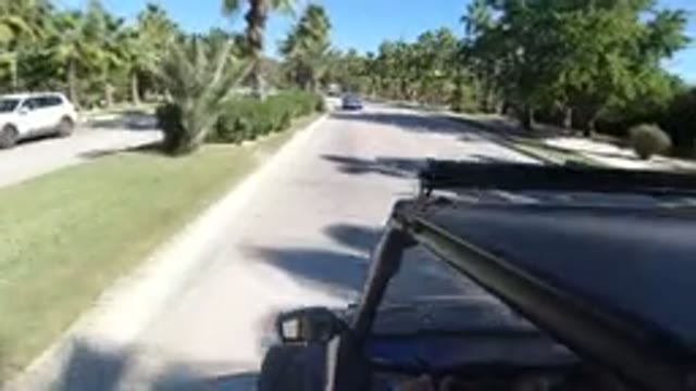 LOS CABOS MEXICO-2019: Vehicle Moving Road Both Sides Trees Planted Nicely Clear
