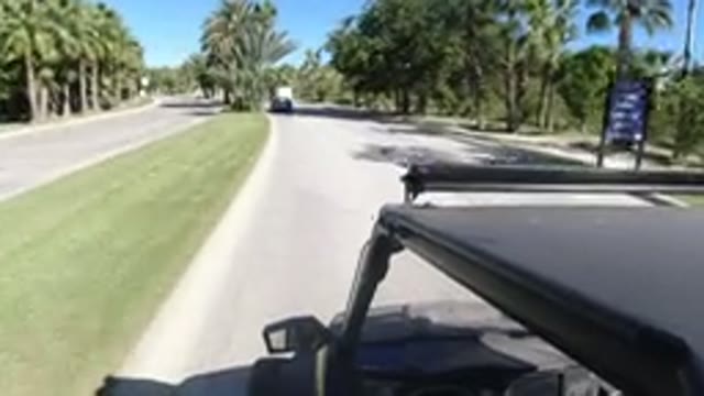 LOS CABOS MEXICO-2019: Clean City Road With Green Grass and Trees Surrounding