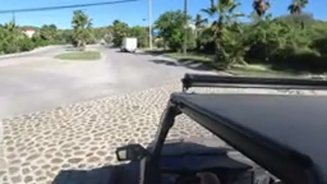 LOS CABOS MEXICO-2019: Following A Truck Down A Palm Tree-Lined Road On A Sunny