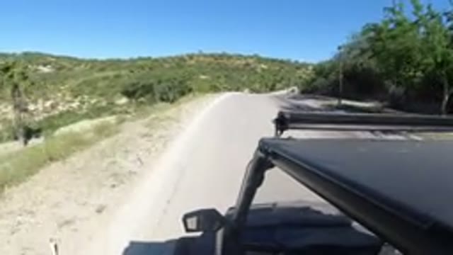 LOS CABOS MEXICO-2019: Moving Car Along A Road With Native Vegetation On The