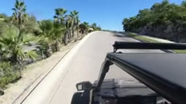LOS CABOS MEXICO-2019: Moving Car in Background with Vegetation Beside