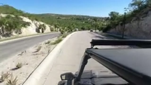 LOS CABOS MEXICO-2019: Beautiful Drive On A One Way Paved Road With Lovely Palm Trees