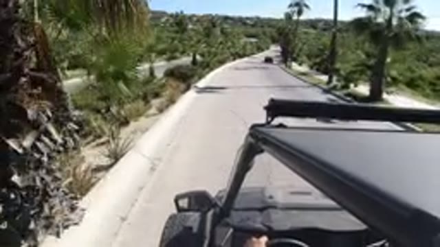 LOS CABOS MEXICO-2019: Two Ways on Road Travel Speed Vehicles Deep Trees Side