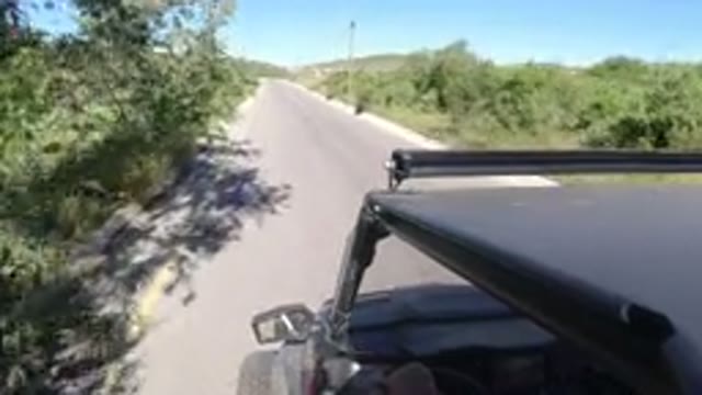 LOS CABOS MEXICO-2019: Summer Trip On A Sunny Day Under A Clear Sky