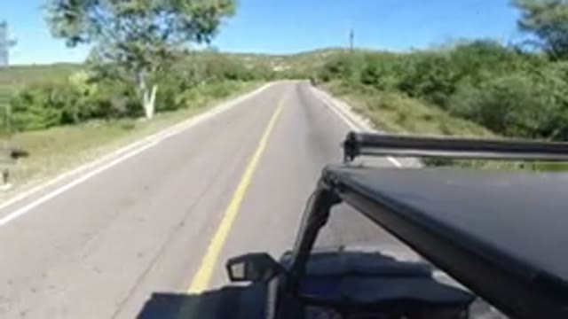 LOS CABOS MEXICO-2019: Dash Cam Footage Of Jeep Driving Through A Wooded Plains