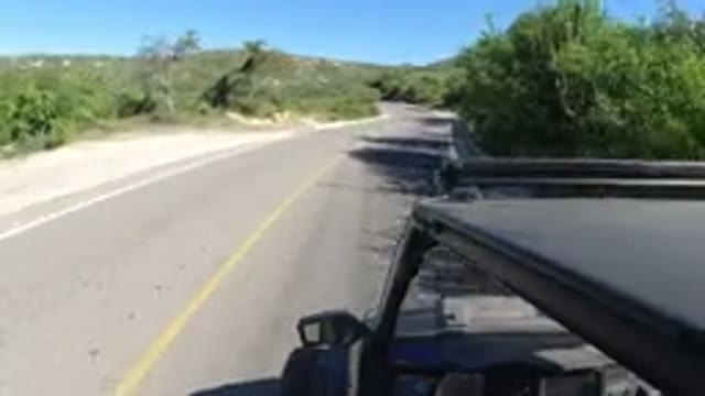 LOS CABOS MEXICO-2019: Video From The Inside Of A Car Driving Down A Narrow Road