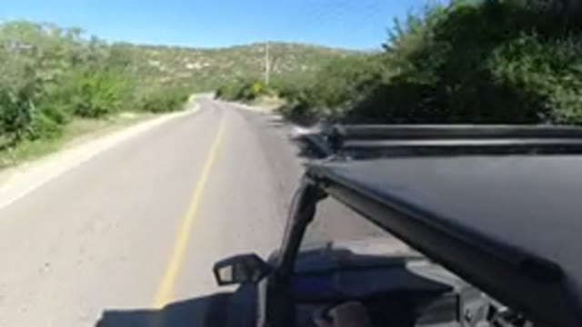 LOS CABOS MEXICO-2019: Her Best Friend Drives On A Sunny Day With A Lot of Green