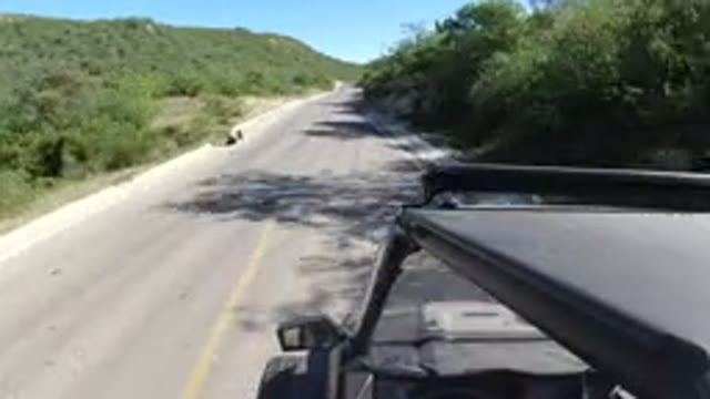 LOS CABOS MEXICO-2019: Driving On A Sunny Day Along A Clean Empty Road
