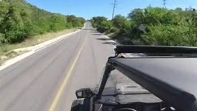 LOS CABOS MEXICO-2019: Fantastic Scene of a Clean Road With Green Grass and Trees