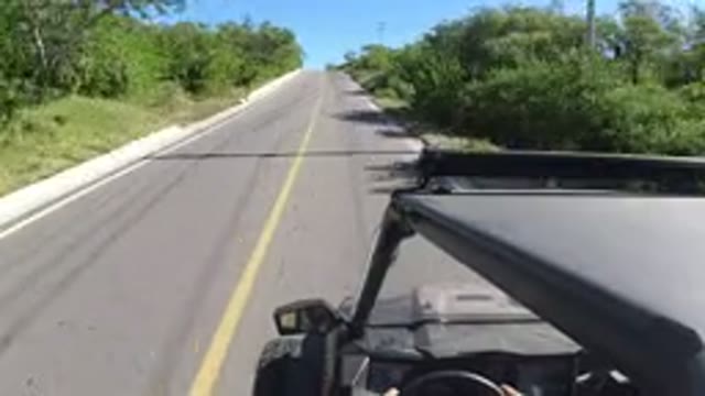 LOS CABOS MEXICO-2019: Car Cruising Down Open Road With Tall Bushes To Either Side