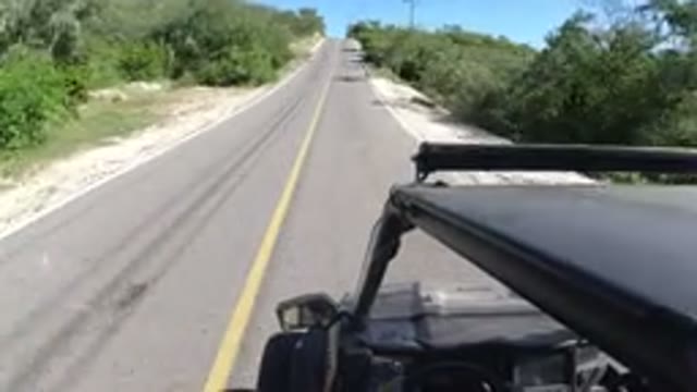 LOS CABOS MEXICO-2019: A Car Alone On A Long Road With Small Trees