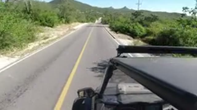 LOS CABOS MEXICO-2019: Car Driving Down A Flat Road Surrounded By Trees